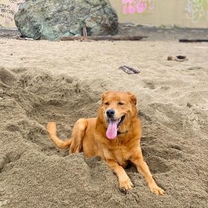 Meet your Posher, Rene